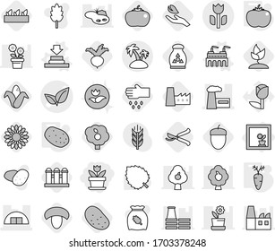 Editable thin line isolated vector icon set - flower, leafs vector, hangare, factory, perishable, island, in window, press, potato, tomato, carrot, mushroom, corn, seedling, beet, sprouting, sow