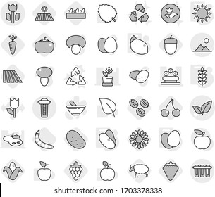 Editable thin line isolated vector icon set - leafs vector, flower bed, perishable, landscape, recycle, gas oven, eggs, spikelets, beans, lemon, coffee seeds, berry, field, cherry, grape, corn, peas