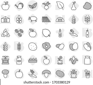 Editable thin line isolated vector icon set - flower, apple vector, spikelets, leafs, greenhouse, recycle, vegetable oil, flour, eggs, potato, beans, coffee seeds, field, mushroom, harvest, corn