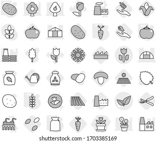 Editable thin line isolated vector icon set - flower, leafs vector, greenhouse, perishable, factory, flour, potato, tomato, spikelets, carrot, seeds, field, mushroom, harvest, corn, seedling, pruner