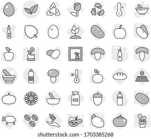 Editable thin line isolated vector icon set - mortar vector, leafs, flower in window, recycle, vegetable oil, mushroom, potato, beans, lemon, coffee seeds, field, flour, harvest, sheep, sprouting