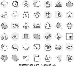 Editable thin line isolated vector icon set - leafs vector, tent, palm, island, flower in window, windmill, dna edit, solar power, thermometer, flour, eggs, potato, fish, field, sickle, cherry, pig