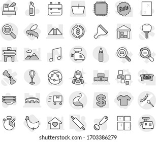 Editable thin line isolated vector icon set - t shirt, sperm vector, stomach, arch, block wall, pyramid, bridge, cargo search, fast deliver, blocks, cpu, rolling pin, chicken, harvester, wasp, agent