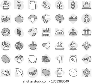 Editable thin line isolated vector icon set - flower, leafs vector, hangare, factory, bed, perishable, island, press, ladle, flour, potato, spikelets, carrot, seeds, field, mushroom, corn, seedling