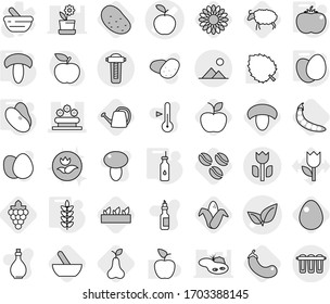 Editable thin line isolated vector icon set - apple vector, leafs, flower bed, perishable, landscape, vegetable oil, eggs, mushroom, tomato, spikelets, beans, mortar, coffee seeds, grape, corn, pear