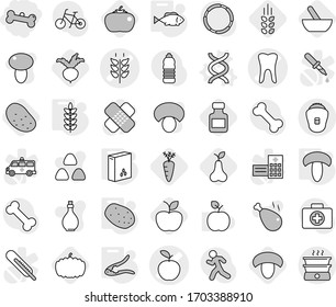 Editable thin line isolated vector icon set - bone, apple vector, tooth, spikelets, dna, walnut crack, cereals, mushroom, potato, fish, mortar, pear, beet, pills bottle, pumpkin, tomato, carrot, oil