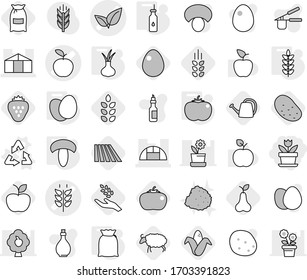 Editable thin line isolated vector icon set - flower, apple vector, spikelets, leafs, greenhouse, recycle, vegetable oil, flour, eggs, mushroom, tomato, onion, field, harvest, corn, pear, sheep, egg