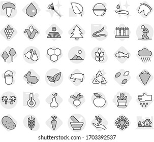 Editable thin line isolated vector icon set - flower, mortar vector, leafs, tourist, flippers, palm hammock, landscape, drop, recycle, walnut crack, thermometer, mushroom, seeds, honeycombs, berry