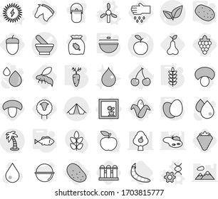 Editable thin line isolated vector icon set - mortar vector, apple, leafs, tent, palm, flower in window, windmill, dna edit, solar power, cauldron, eggs, potato, fish, spikelets, carrot, sheep, corn
