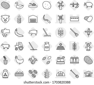 Editable thin line isolated vector icon set - spikelets vector, bunker, windmill, greenhouse, potato, plow, soil cutter, cow, coffee seeds, field, shovel, fork, rake, sickle, flour, pig, corn, goose