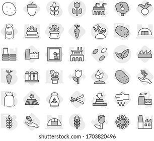 Editable thin line isolated vector icon set - flower, leafs vector, hangare, factory, greenhouse, bed, perishable, island, in window, press, flour, potato, spikelets, carrot, seeds, field, harvest