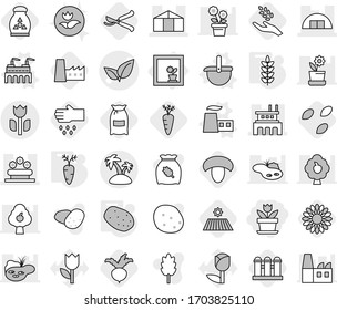 Editable thin line isolated vector icon set - flower, leafs vector, hangare, factory, greenhouse, bed, perishable, island, in window, ladle, potato, spikelets, carrot, seeds, field, mushroom, flour
