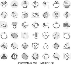 Editable thin line isolated vector icon set - flower, mortar vector, tourist, hawaiian wreath, starfish, shark flipper, drop, recycle, solar power, potato, fish, spikelets, lemon, sheep, seeds, pig