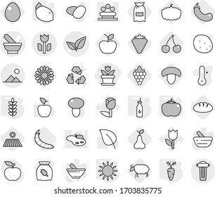 Editable thin line isolated vector icon set - flower, mortar vector, leafs, bed, perishable, landscape, vegetable oil, gas oven, tomato, spikelets, carrot, lemon, berry, field, cherry, mushroom, egg