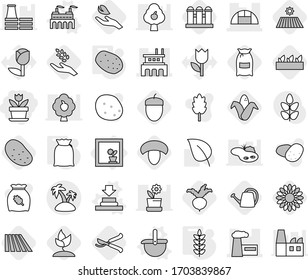 Editable thin line isolated vector icon set - flower, factory, greenhouse, island, in window, vector, press, ladle, flour, potato, spikelets, field, mushroom, harvest, corn, seedling, beet, pruner