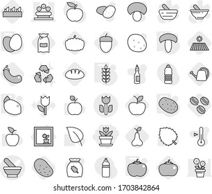 Editable thin line isolated vector icon set - flower, mortar vector, bed, perishable, in window, eggs, mushroom, potato, tomato, spikelets, lemon, coffee seeds, field, flour, seedling, eggplant, oil