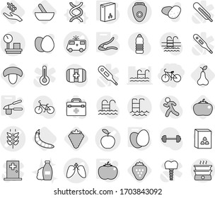 Editable thin line isolated vector icon set - bike, ambulance car vector, apple, lungs, spikelets, warehouse scales, pool, dna, garlic clasp, walnut crack, cereals, eggs, tomato, mortar, berry, pear