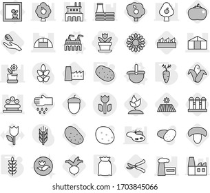 Editable thin line isolated vector icon set - flower, factory, greenhouse, bed, perishable, in window, vector, ladle, flour, potato, spikelets, carrot, field, mushroom, corn, seedling, beet, sow