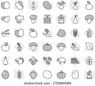 Editable thin line isolated vector icon set - flower, vegetable oil, eggs, mushroom, tomato, spikelets, beans, onion, coffee seeds, field, harvest, corn, seedling, apple, pear, sheep, beet, sow, egg