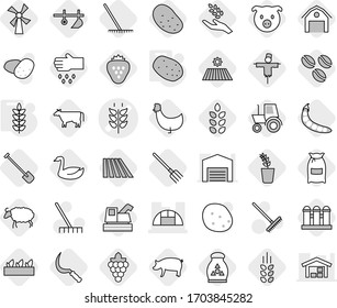 Editable thin line isolated vector icon set - spikelets vector, greenhouse, potato, plow, cow, coffee seeds, field, shovel, fork, rake, sickle, flour, pig, grape, harvest, seedling, goose, windmill