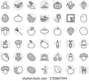 Editable thin line isolated vector icon set - mortar vector, apple, leafs, flower bed, perishable, landscape, in window, recycle, eggs, mushroom, potato, tomato, beans, carrot, lemon, berry, cherry