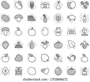 Editable thin line isolated vector icon set - spikelets vector, greenhouse, vegetable oil, eggs, mushroom, potato, tomato, beans, coffee seeds, field, flour, harvest, corn, seedling, apple, pear