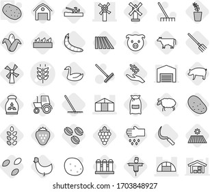 Editable thin line isolated vector icon set - spikelets vector, windmill, greenhouse, potato, soil cutter, cow, coffee seeds, field, fork, rake, sickle, flour, pig, grape, harvest, corn, seedling