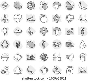 Editable thin line isolated vector icon set - mortar vector, hawaiian wreath, palm hammock, windmill, dna edit, walnut crack, mushroom, potato, carrot, honeycombs, field, sickle, grape, harvest, sow