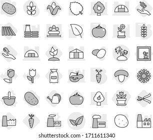 Editable thin line isolated vector icon set - flower, leafs vector, hangare, factory, greenhouse, bed, island, in window, ladle, potato, tomato, spikelets, carrot, field, mushroom, flour, harvest