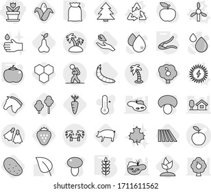 Editable thin line isolated vector icon set - flower, apple vector, tourist, palm, island, flippers, hammock, windmill, recycle, solar power, walnut crack, flour, tomato, spikelets, honeycombs, pig