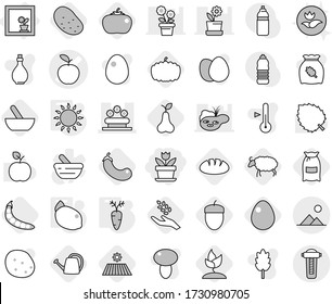 Editable thin line isolated vector icon set - flower, apple vector, bed, landscape, in window, gas oven, carrot, lemon, mortar, field, flour, harvest, eggplant, pear, sheep, sprouting, pumpkin, egg