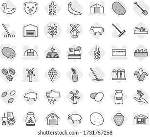 Editable thin line isolated vector icon set - spikelets vector, bunker, windmill, greenhouse, potato, soil cutter, cow, coffee seeds, field, shovel, rake, flour, pig, grape, harvest, corn, seedling