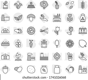 Editable thin line isolated vector icon set - flower, leafs vector, factory, greenhouse, perishable, flour, spikelets, carrot, seeds, field, mushroom, harvest, corn, seedling, sprouting, hand leaf