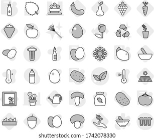 Editable thin line isolated vector icon set - leafs vector, flower bed, in window, vegetable oil, eggs, mushroom, potato, tomato, lemon, mortar, berry, field, grape, harvest, seedling, eggplant, egg