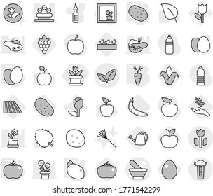 Editable thin line isolated vector icon set - flower, mortar vector, leafs, bed, perishable, in window, eggs, potato, tomato, carrot, lemon, field, grape, harvest, corn, seedling, apple, egg, peas