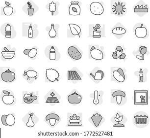Editable thin line isolated vector icon set - flower bed, in window, vegetable oil, gas oven, mushroom, tomato, beans, lemon, berry, field, seedling, pear, sheep, sprouting, watering can, bread, egg