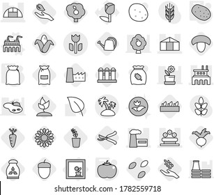 Editable thin line isolated vector icon set - factory, greenhouse, flower bed, perishable, island, in window, vector, flour, potato, tomato, seeds, mushroom, harvest, corn, seedling, beet, sprouting