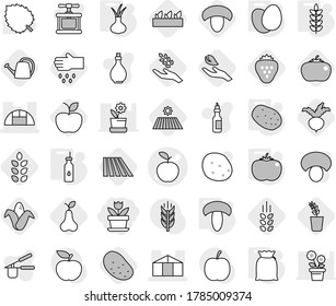 Editable thin line isolated vector icon set - flower, apple vector, greenhouse, vegetable oil, flour, eggs, mushroom, potato, tomato, spikelets, onion, field, harvest, corn, seedling, pear, beet