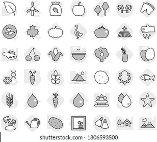 Editable thin line isolated vector icon set - flower bed, island, hawaiian wreath, starfish, flippers, palm hammock, in window, drop, windmill vector, dna edit, cauldron, eggs, potato, carrot, field