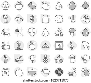 Editable thin line isolated vector icon set - apple vector, tourist, tent, palm, flippers, flower in window, drop, recycle, dna edit, cauldron, walnut crack, thermometer, flour, spikelets, lemon