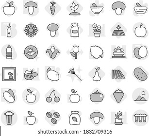 Editable thin line isolated vector icon set - apple vector, flower bed, landscape, in window, vegetable oil, eggs, mushroom, beans, lemon, coffee seeds, berry, field, cherry, flour, corn, pear, rake