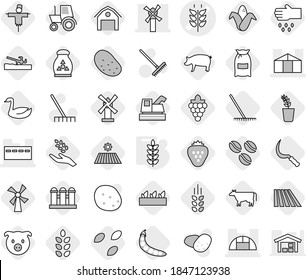 Editable thin line isolated vector icon set - spikelets vector, bunker, windmill, greenhouse, soil cutter, cow, coffee seeds, field, rake, sickle, flour, pig, grape, harvest, corn, seedling, goose