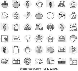 Editable thin line isolated vector icon set - flower, hangare, factory, greenhouse, bed, perishable, island, in window, vector, ladle, flour, potato, tomato, spikelets, carrot, field, mushroom, leaf