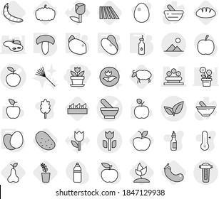Editable thin line isolated vector icon set - flower, mortar vector, apple, leafs, bed, perishable, landscape, vegetable oil, eggs, mushroom, beans, lemon, field, seedling, eggplant, pear, sheep