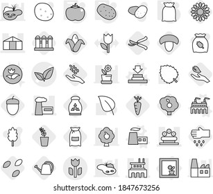 Editable thin line isolated vector icon set - leafs vector, factory, greenhouse, flower bed, perishable, in window, press, flour, potato, tomato, seeds, mushroom, harvest, corn, seedling, hand leaf