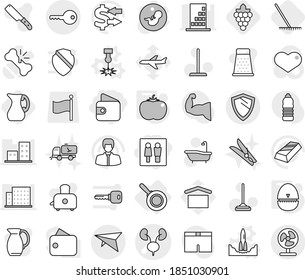 Editable thin line isolated vector icon set - wc, wallet, kidneys vector, deltaplane, key, shield, pan, laser, rocket start, egg timer, tomato, rake, grape, jug, mop, bath, clothespin, knife, grater