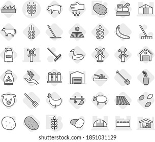 Editable thin line isolated vector icon set - spikelets vector, bunker, windmill, greenhouse, potato, plow, soil cutter, cow, seeds, field, shovel, fork, rake, flour, pig, harvest, seedling, goose