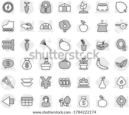 Editable thin line isolated vector icon set - market, left arrow, flower, crutch vector, leafs, hospital recieption, greenhouse, bed, stadium, life vest, solar power, carrot, lemon, watering, pear