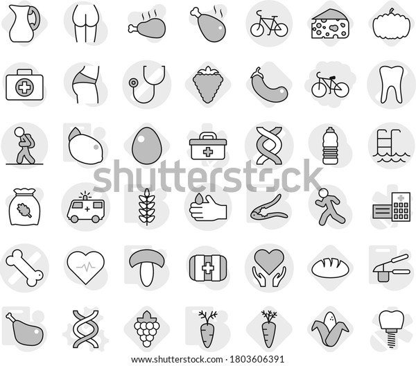 Editable thin line isolated vector icon set -
bike, dna vector, stethoscope, bone, ambulance car, tooth, health
care, acid, tourist, pool, garlic clasp, walnut crack, mushroom,
chicken leg, carrot