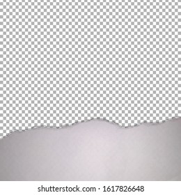 editable torn paper vector 02